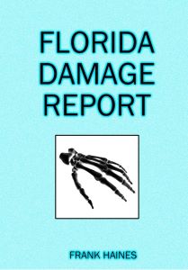 The Florida Damage Report by Frank Haines